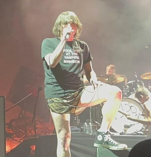 Pool Boy At The Vampire Mansion Shirt Teeholly